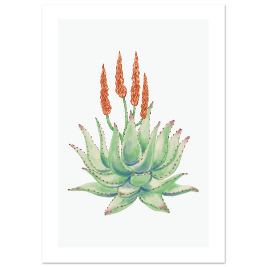 b626a956-9cce-4972-b6fa-6fc50dab24d0